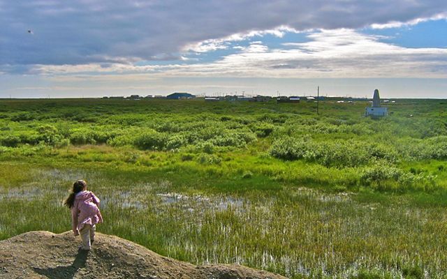 A little girl stands on a hill and looks out over a green piece of wetlands