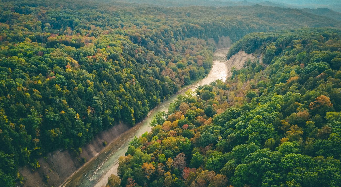 Aerial view of a waterway splitting tree covered land.