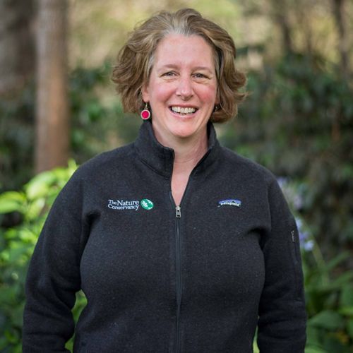 Anne Trainor portrait