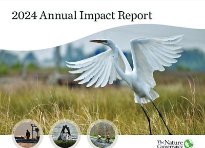 A report cover with the title "2024 Annual Impact Report" features an egret taking flight.
