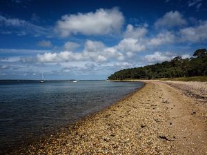 Expansive view of waterfront with beach and woodlands lining a shore.