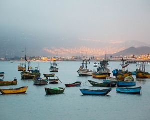 in the early morning light, Ancón, Peru.