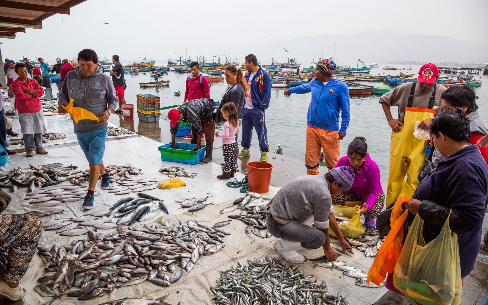 The fish market in Ancón, Peru. Ancón has thousands of years of history harvesting food from the sea and is working together as a community to make their practices as responsible as possible. ©  Jason Houston
