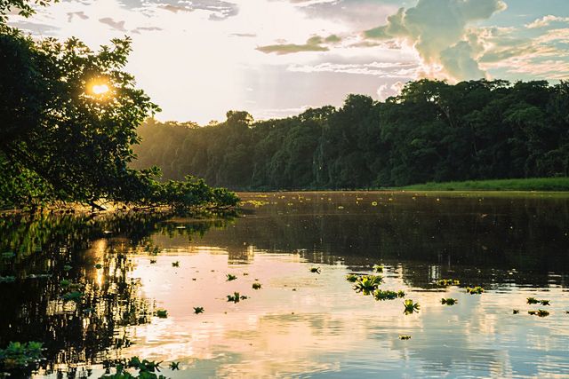 The sun sets on the Aguarico River in Ecuador. Tall, thick trees line the still river water.
