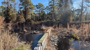 A structure called a weir blocks water from leaving a peatland in North Carolina.