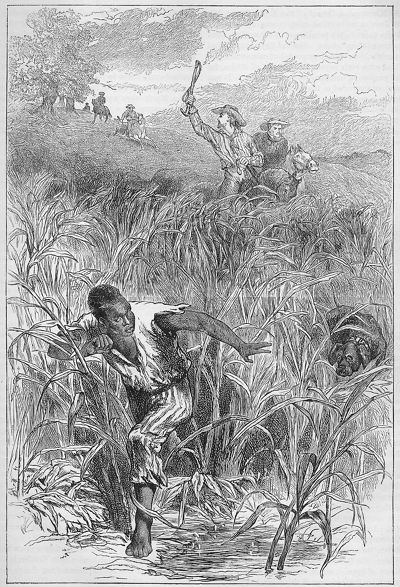 A historical print of a black man in tattered clothing fleeing through tall grass in a swamp. He is pursued by a dog and white men mounted on horses.