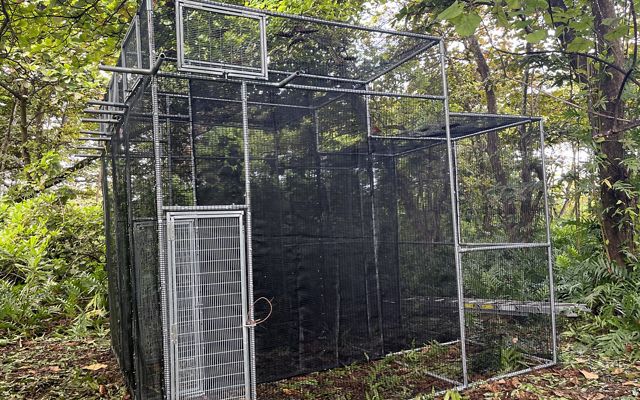 A large aviary stands in the midst of a lush, wooded area.