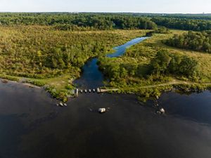 Aerial view of Assawompset Pond where it connects with the Nemasket River. Small stone structures make up a dam across the meeting point of the two bodies of water.