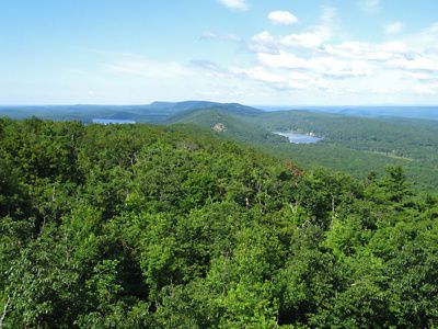 Aerial view of green tree tops and mountains.