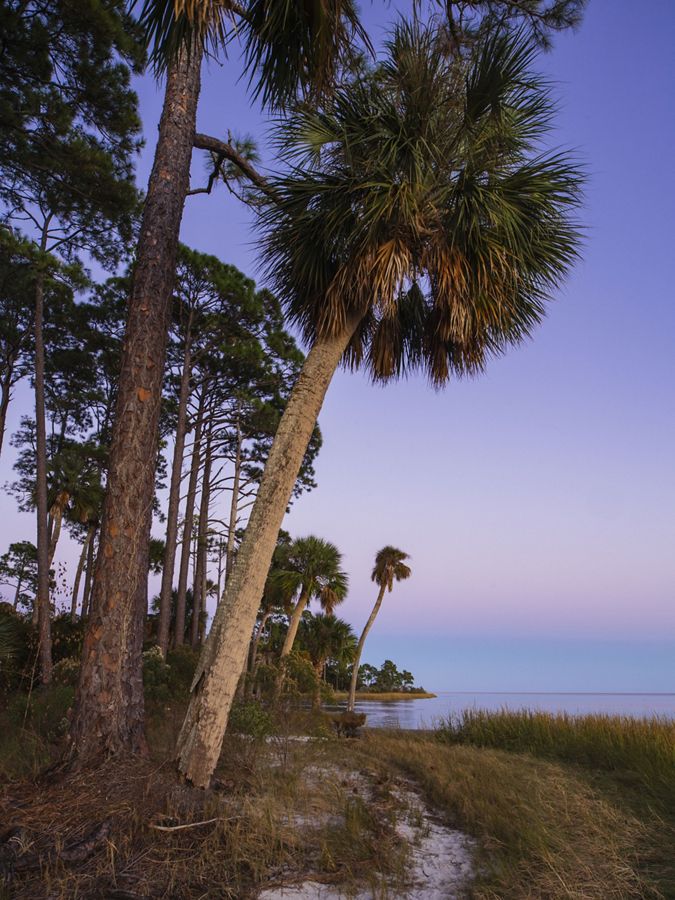 A purple sunset over a shoreline with palm trees.