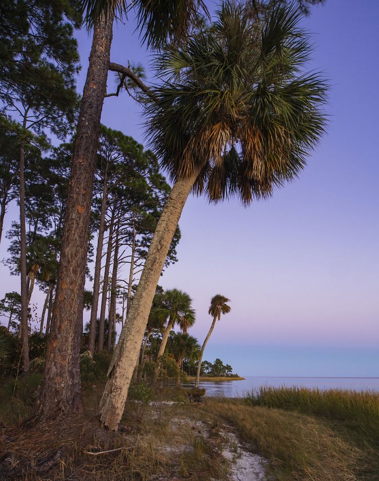 A purple sunset over a shoreline with palm trees.