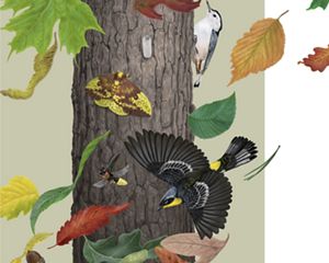 An illustration shows birds, insects and leaves swirling around a tree trunk.