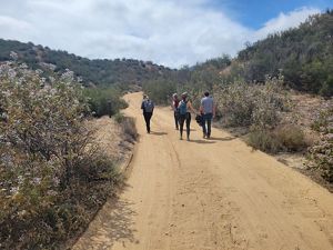 Four people walk along a dirt trail with scrubby plants on either side of it.