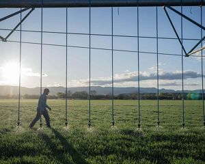 Zach Hauser checks the nozzles on water-saving pivot hoses that water his family’s crop fields in Arizona.