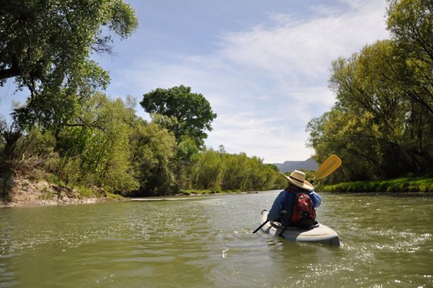 A person kayaking in a lake.