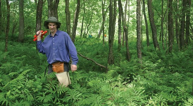 Christian Marks measures a floodplain forest.