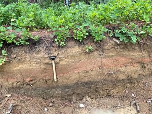 A trench cut through the dirt