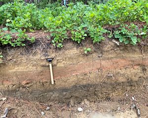 A trench cut through the dirt