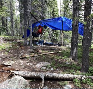 A blue tarp is tied between a group of trees to create a simple campsite in the woods.