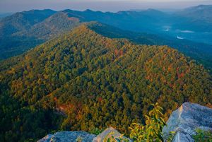  The Ataya property in Tennessee. A tree covered mountain ridge stretches to the horizon.