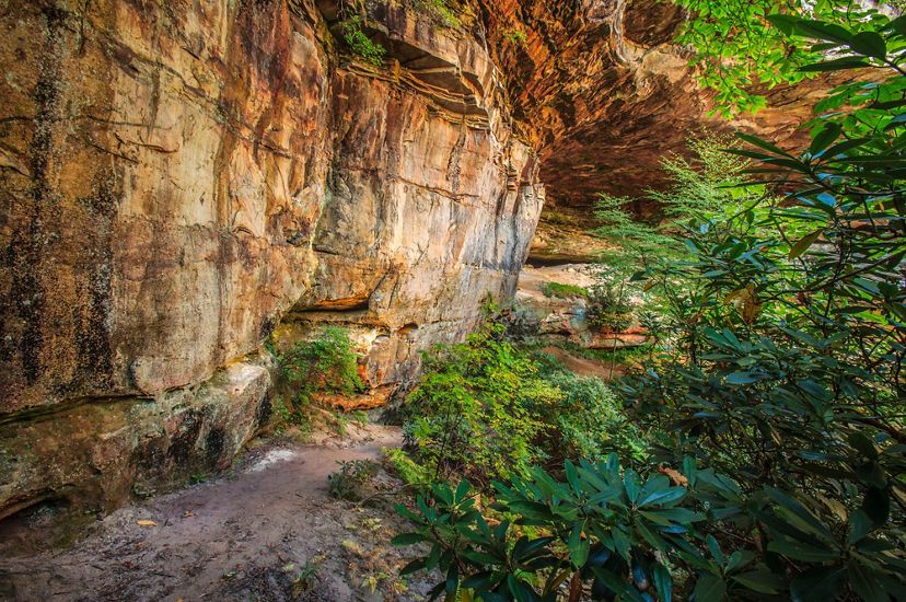  The Ataya property in Tennessee. A scarred rock face rises above a wide packed dirt trail.