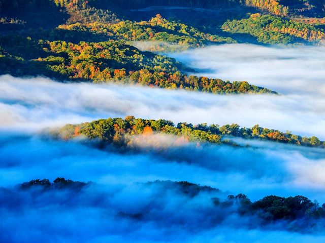 Aerial view of a forest in low clouds.