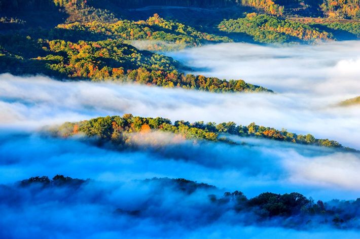 A mist rises up in between forested ridges.