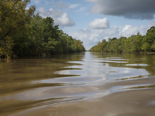 A river from the waterline looking straight up the river with trees bordering the shoreline.