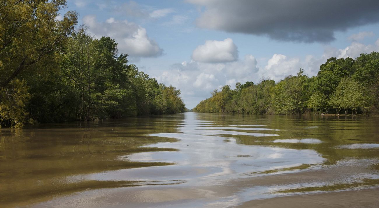 A river flows through a green forest.