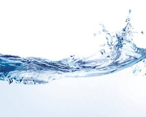 Fresh water nurtures life.