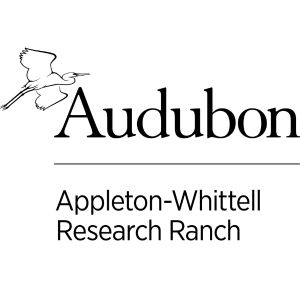 A illustration white bird flies over the organization name.