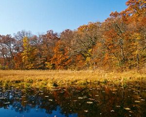 A view of a body of water lined with trees alive with autumn colors.