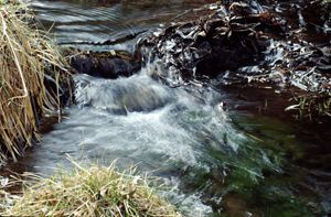 A close-up of a flowing stream which creates a blurring effect on the moving water. 