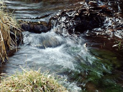 A close-up of a flowing stream which creates a blurring effect on the moving water. 
