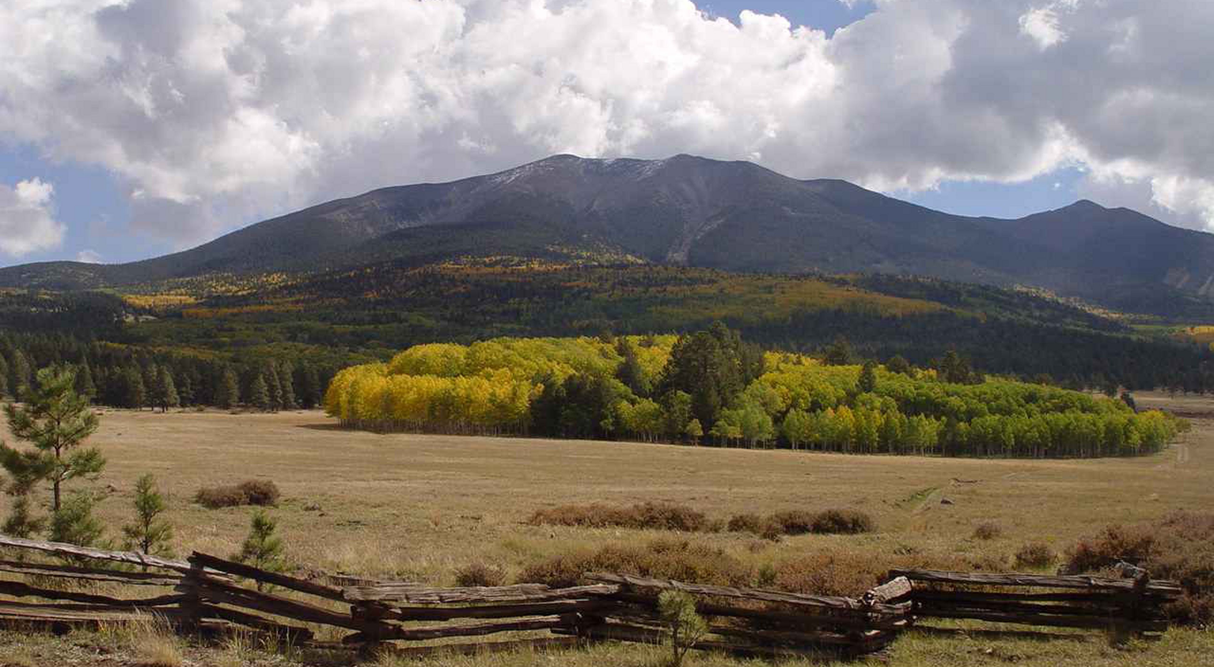 Behind a wood rail fence, fall colors dot the forests that lead to the San Francisco Peaks.