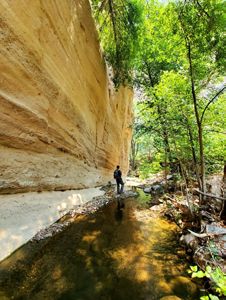 Far away shot of person hiking in creek with canyon walls