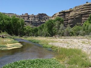 A landscape of a canyon on a sunny day, with lush vegetation and a creek in the foreground.