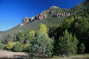 A rocky mountain covered in greenery juts above a field with many trees.