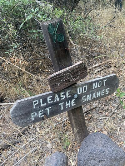 Wooden sign post that reads "do not pet the snakes."