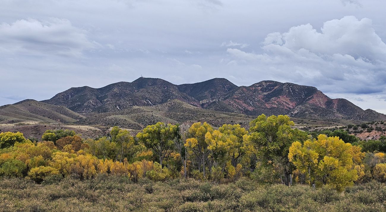 Landscape of mountain below a cloudy sky, with a group of yellow trees in front of it.