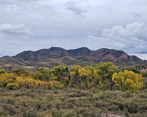 Landscape of mountain below a cloudy sky, with a group of yellow trees in front of it.