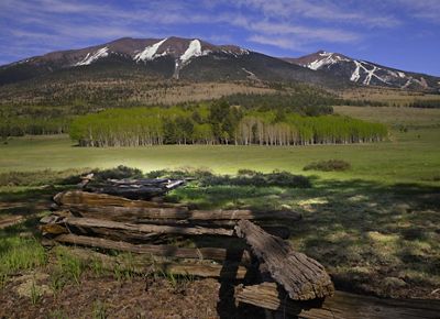 Landscape of a mountain with trees in the foreground.