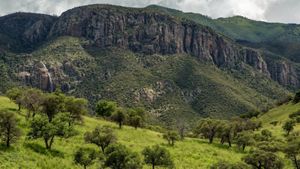 View of a mountain with green grass and trees in the foreground.