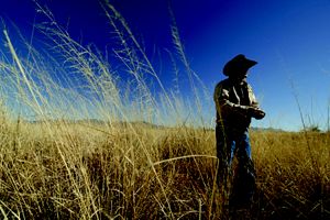 A farmer standing in a field.