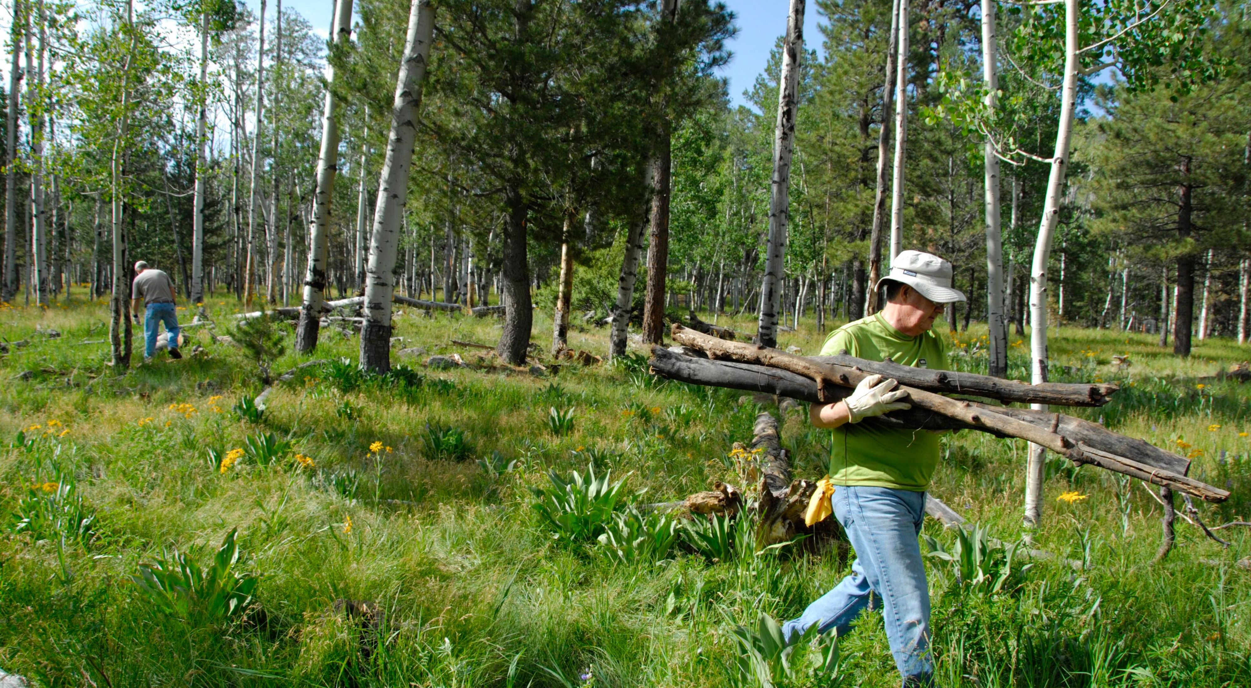 A person wearing a hat and gloves hauls wood at a forest restoration site in Arizona.