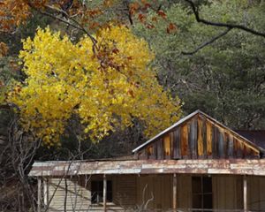 Cabin surrounded by trees with fall leaves.