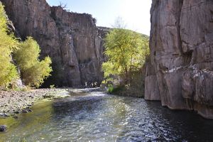 Three hikers crossing creek within canyon walls