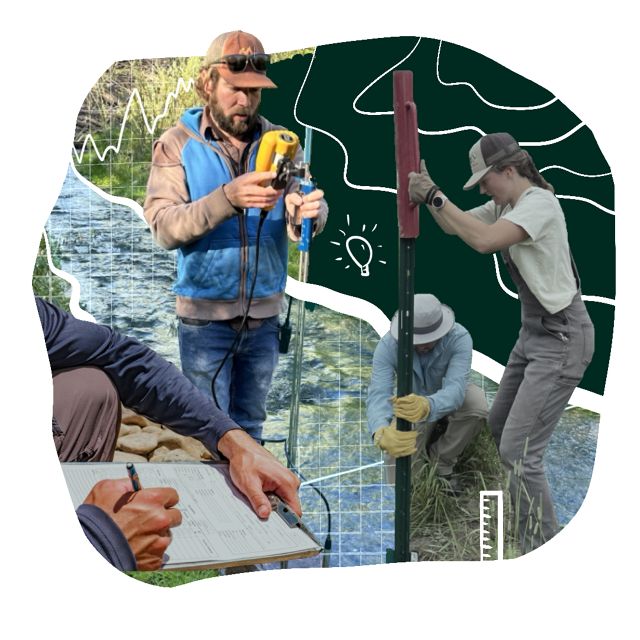 Graphic collage showing four people collecting data with a typographic drawing behind them.