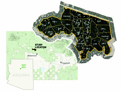 Map showing Arizona, the study location which is Northwest of Flagstaff, and a closeup showing which method was used on a particular section. 