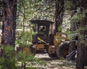 A person in a hardhat sits in a yellow tractor in the middle of a thick pine forest.